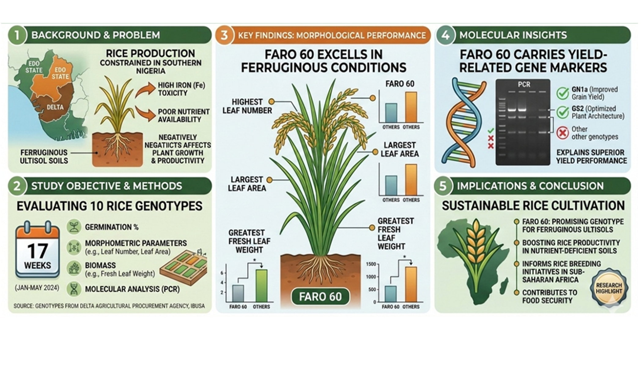 Infographic abstract