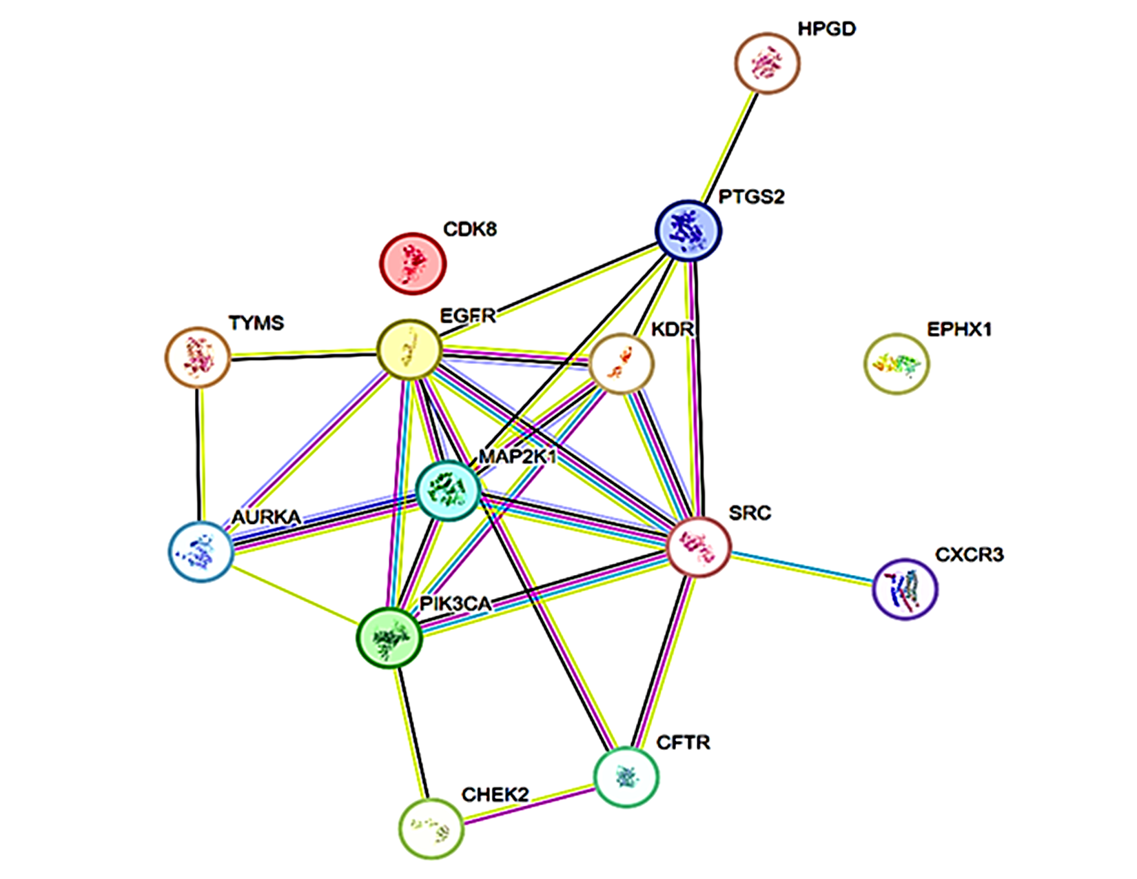 Protein–protein interaction Network: The nodes (14) represent proteins while the edges (25) indicate interactions between proteins. The edge thickness indicates the strength of interaction and the node colour indicate expression level