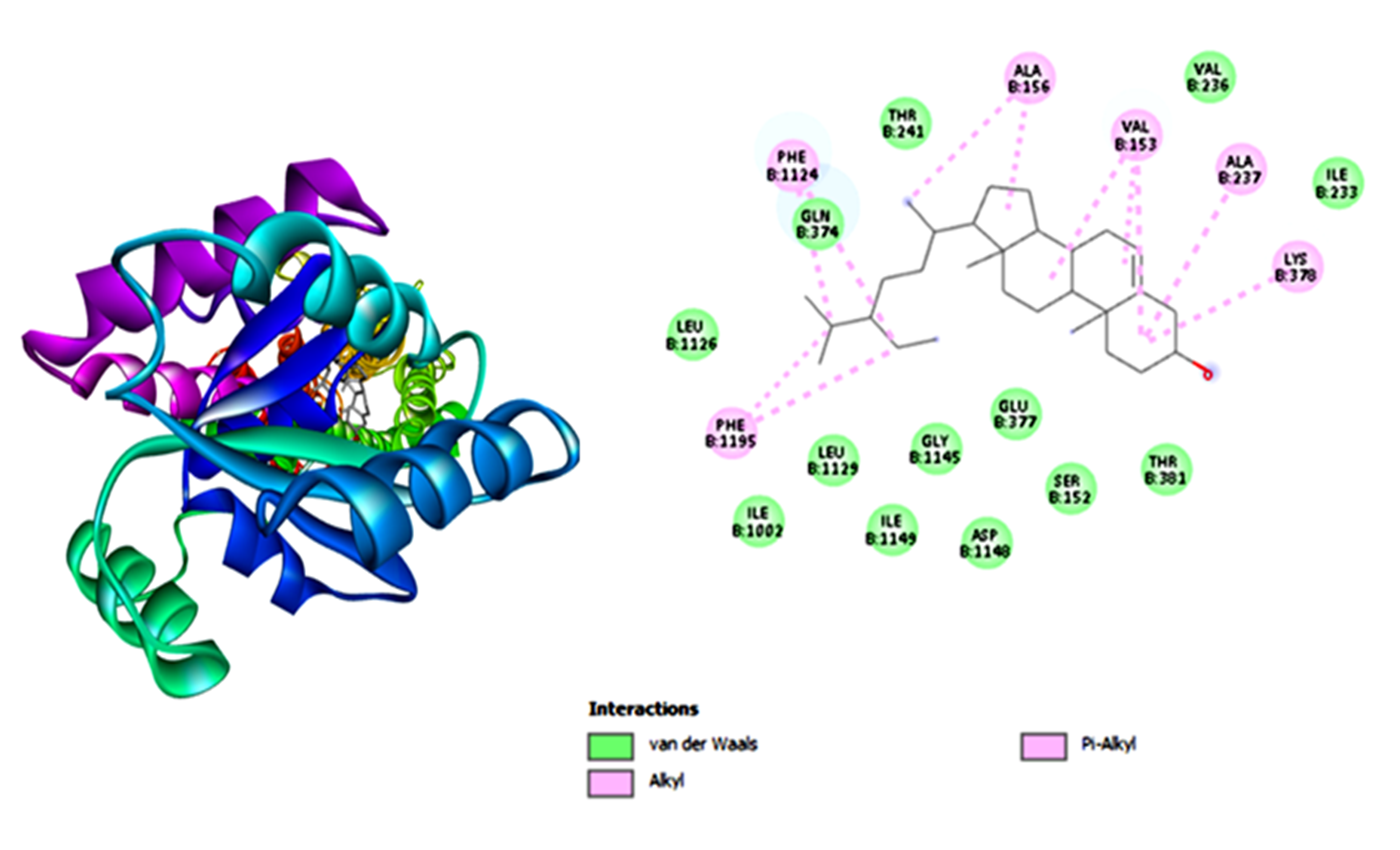 3D and 2D Sitosterol-6KUW binding site interaction analysis 