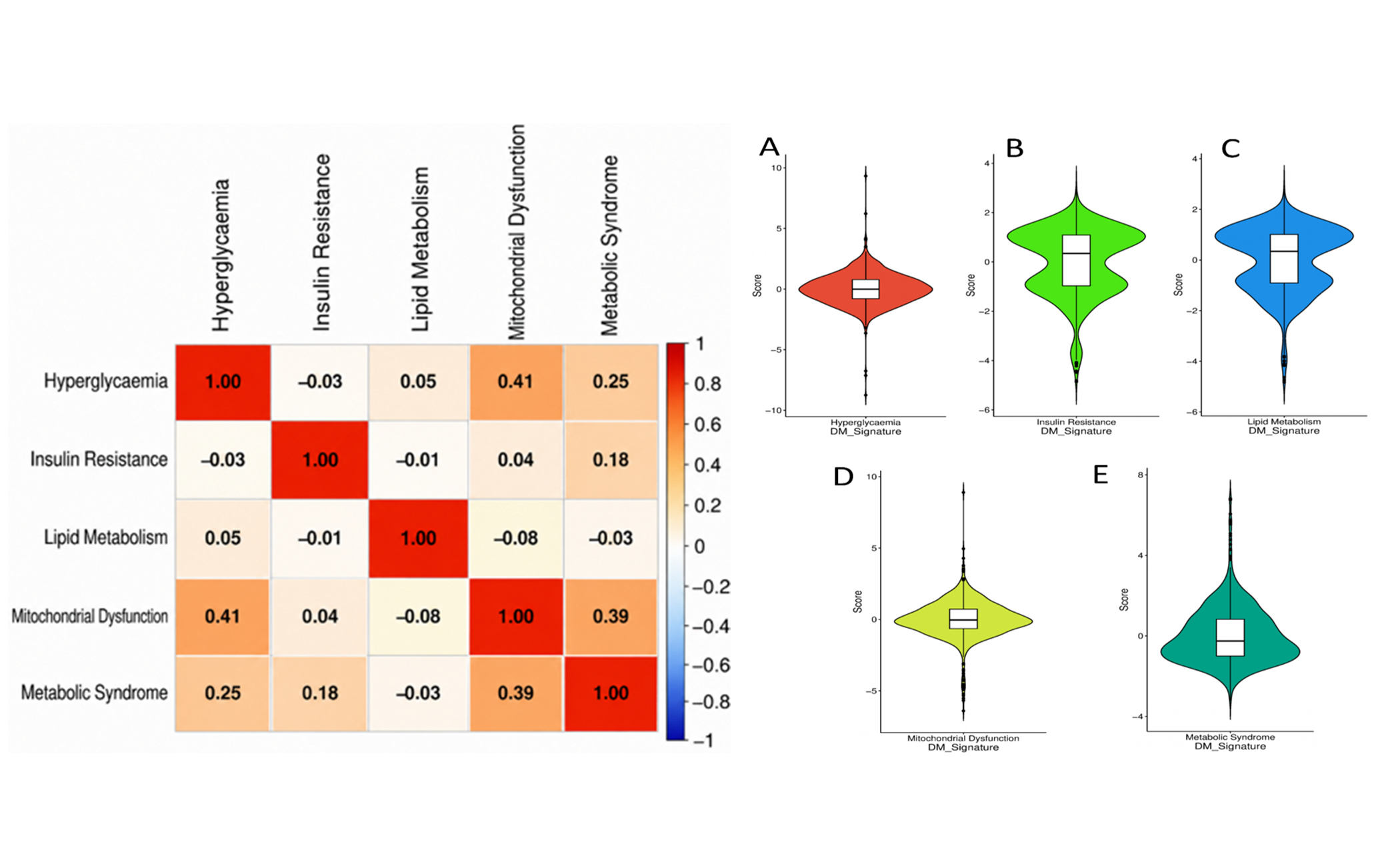 Distribution of composite diabetes-like (DM-like) transcriptional scores in CRC. Violin ‎plots showing (A) core and (B) extended composite DM-like scores. Embedded boxplots ‎indicate the median and interquartile range. Both scores show broad continuous distributions, ‎demonstrating inter-tumoural heterogeneity in DM-like transcriptional states.‎